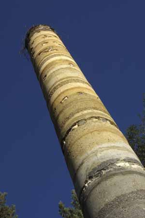 Matrix Revealed Matrix Revealed